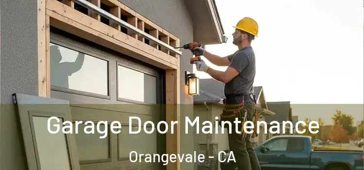 Garage Door Maintenance Orangevale - CA