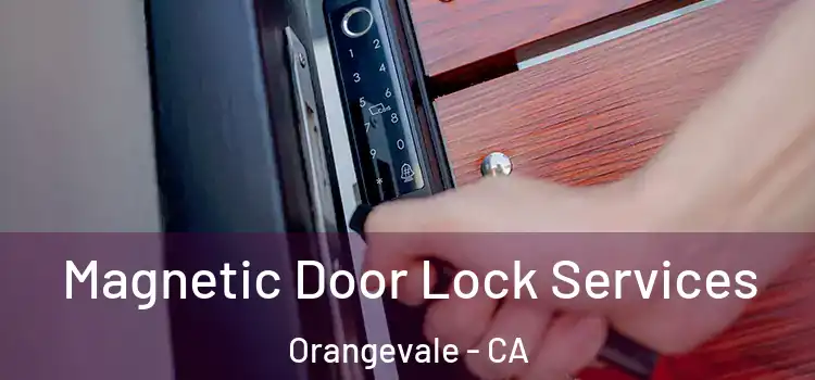 Magnetic Door Lock Services Orangevale - CA